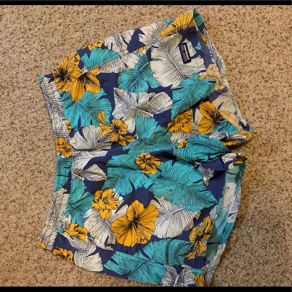 Patagonia Baggie Shorts
